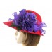 Red Hat Derby Dress Church Bonnet Chiffon Ruffle Roses Lady Bug Society Ladies  eb-84213233